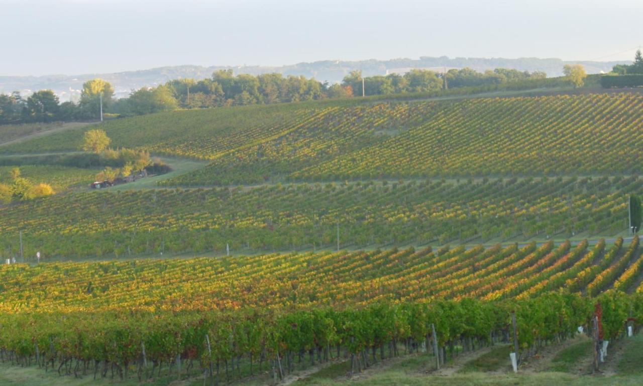 Romantic Gite Nr St Emilion With Private Pool And Views To Die For Pujols  Exterior foto